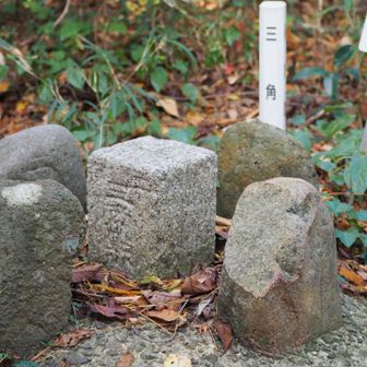 卯辰山の三角点▲