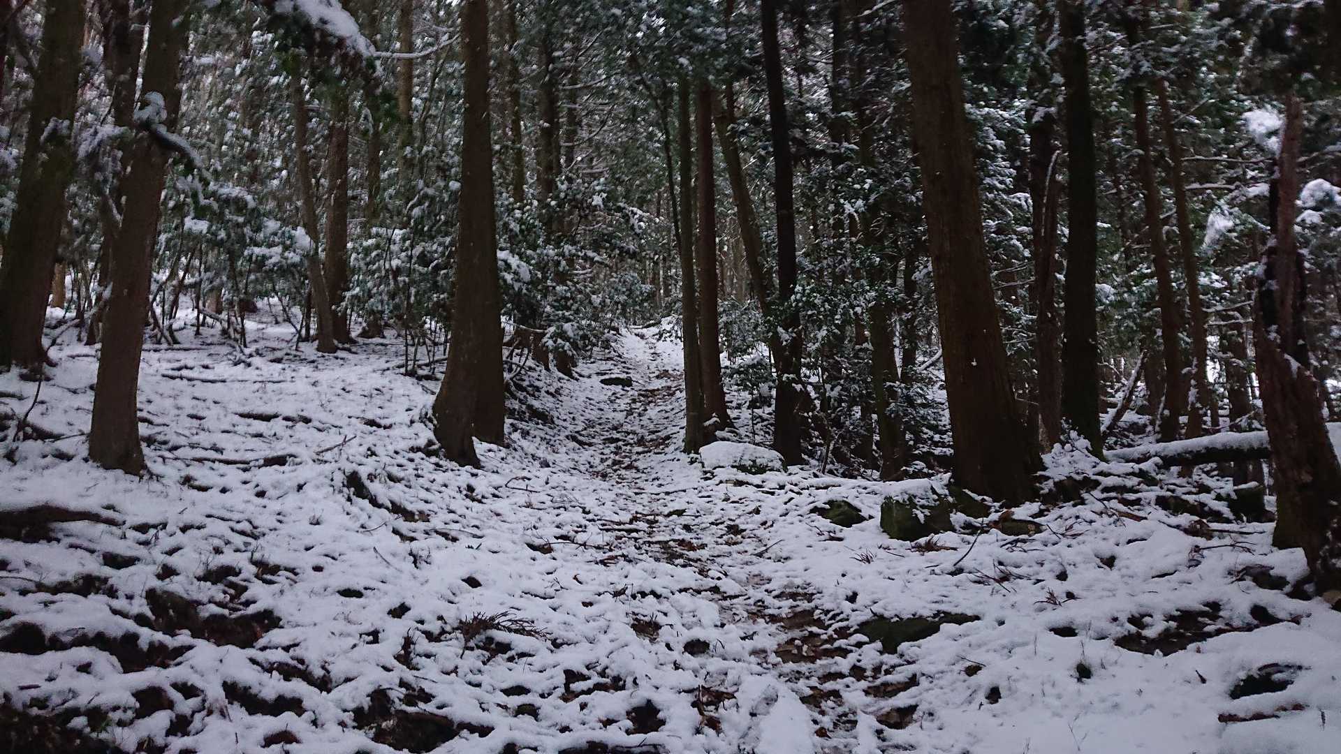 やや明るくなった⤴️
これ以上早く出てても道がみえないから、これで良かったなぁ～