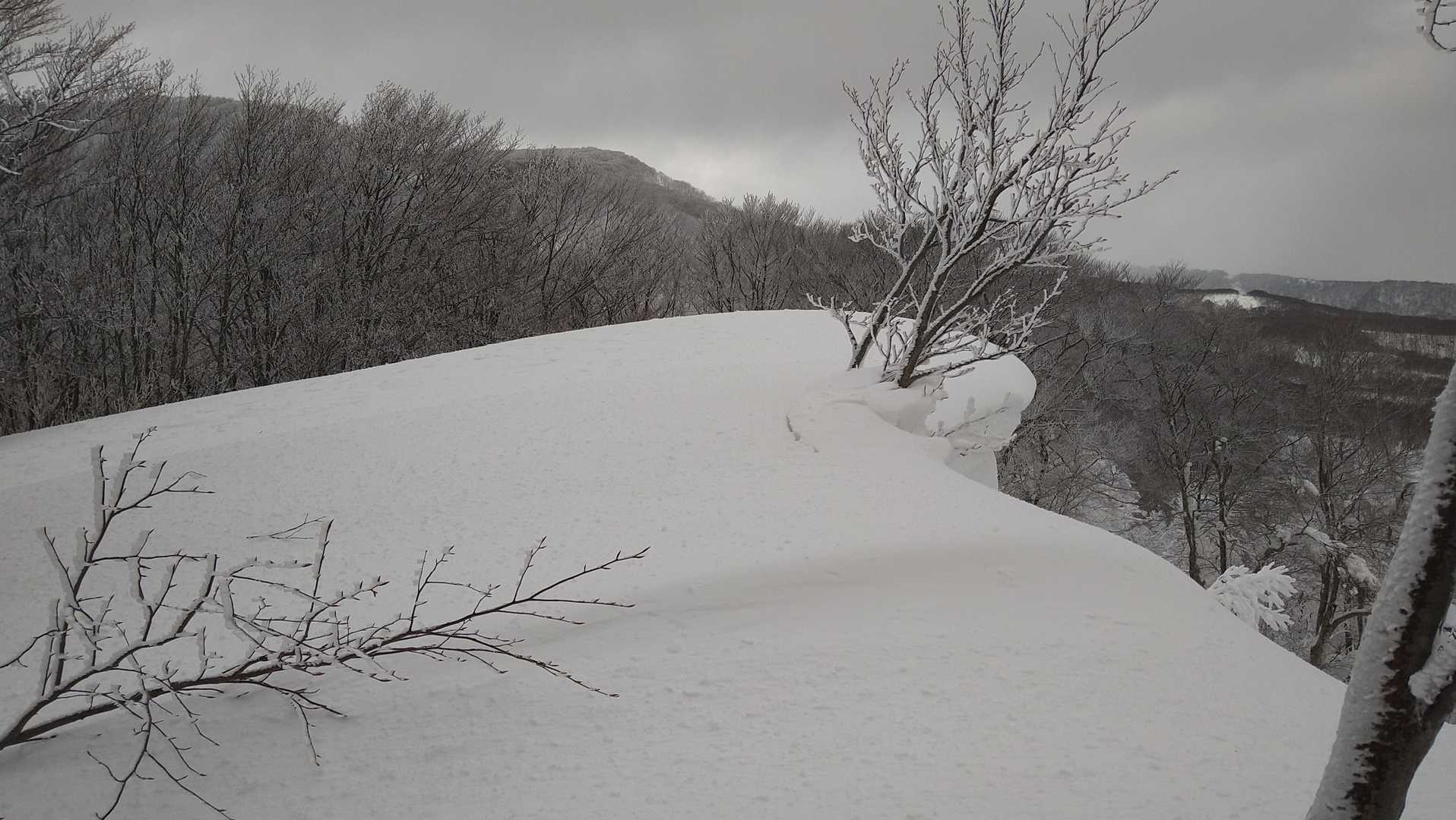 鳳来山登頂🙌
右側雪庇😱