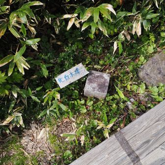 北白木峰を通過。