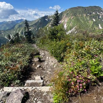 苗場山見えてきたー