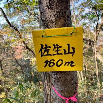 佐生日吉城跡 はYAMAPに山頂がない佐生山⛰️