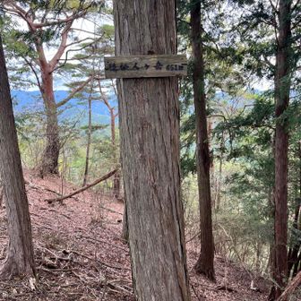 後仙人ヶ岳