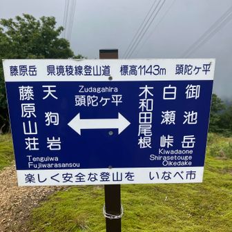 着きました