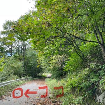 💩現場
🐻に遭わずに秋の山行をしていきたいですね✨🍁✨