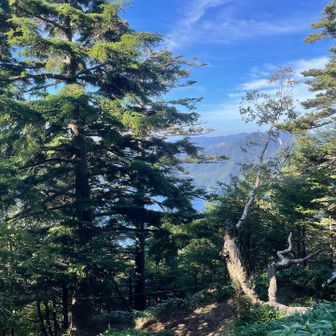 急登を振り返ると中禅寺湖が見え隠れ