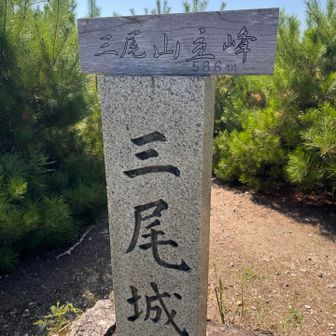 主峰プレートは手持ち出来ます