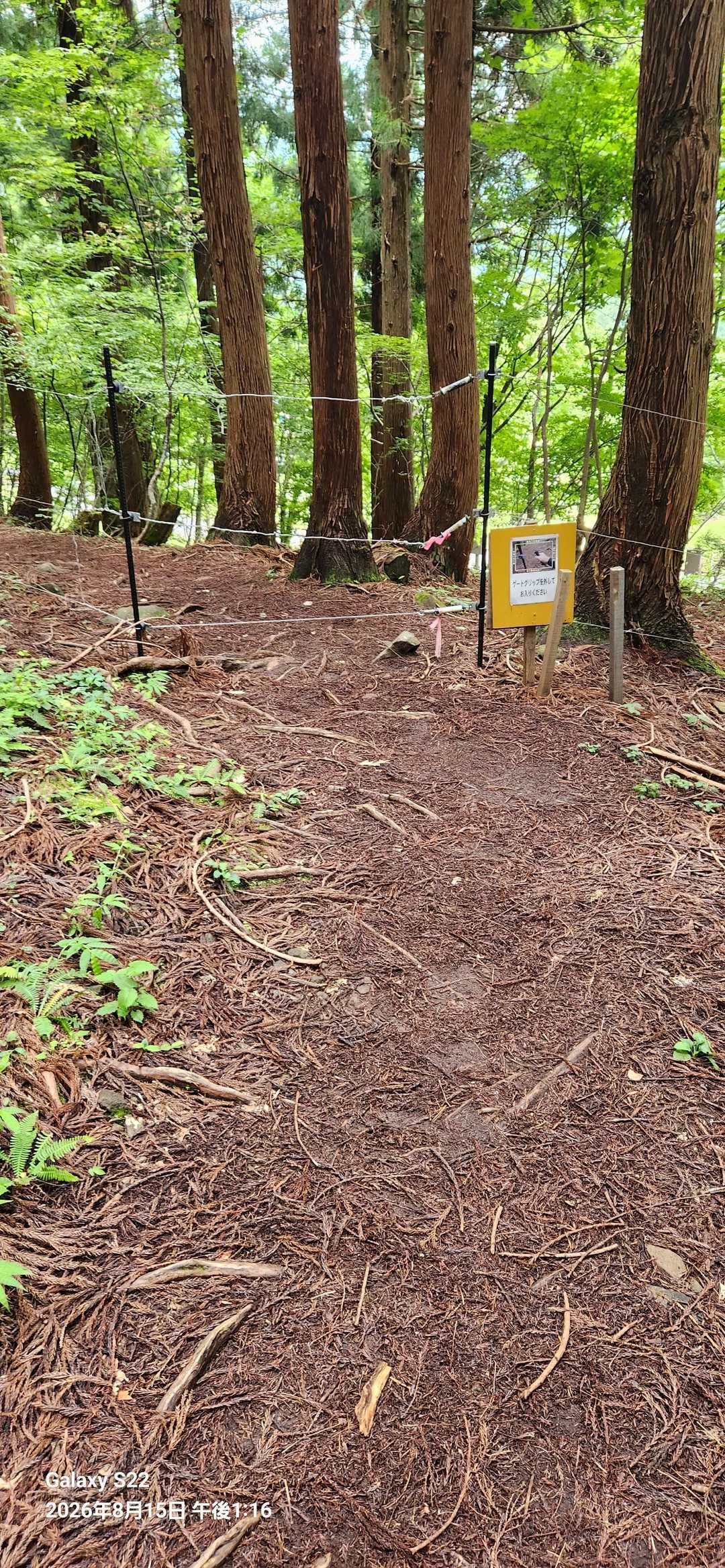 キャンプ場は熊🐻対策の電気線で囲まれていた