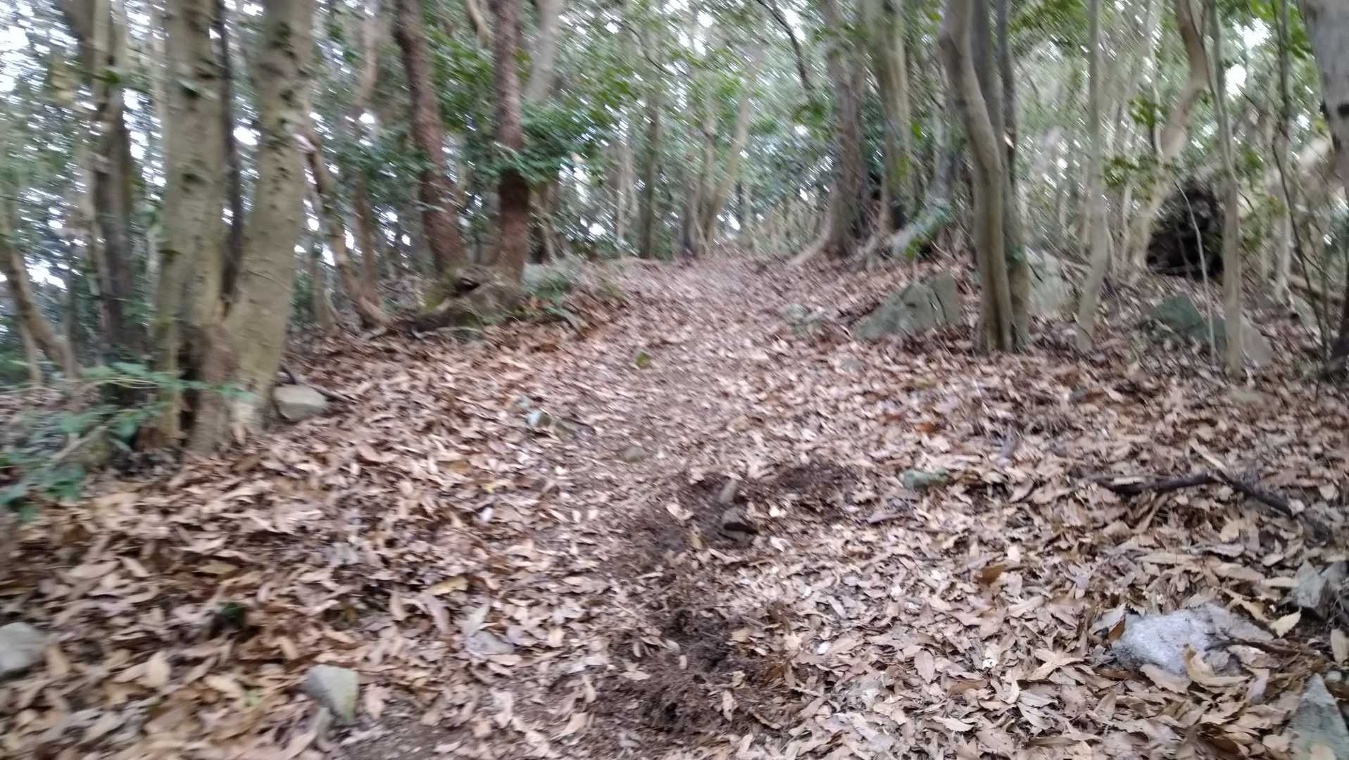 三角岳-天翔台-天翔台登山口 縦走コースの写真