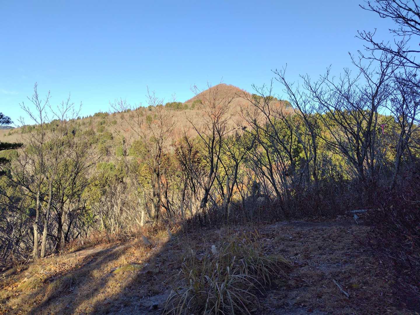 目指す金剛山が見えてきました