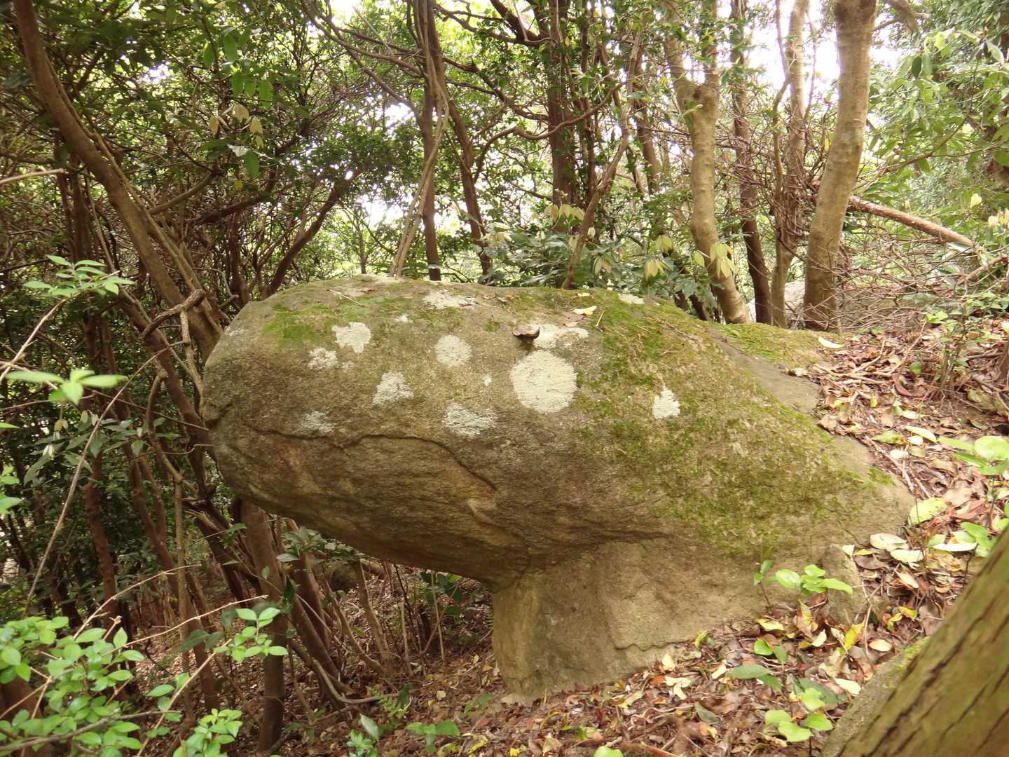 謎の巨石。