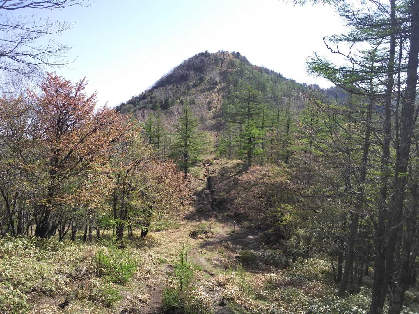 笠取山登山口-笠取山-黒槐ノ頭-唐松尾山-三ノ瀬登山口 周回コースの写真
