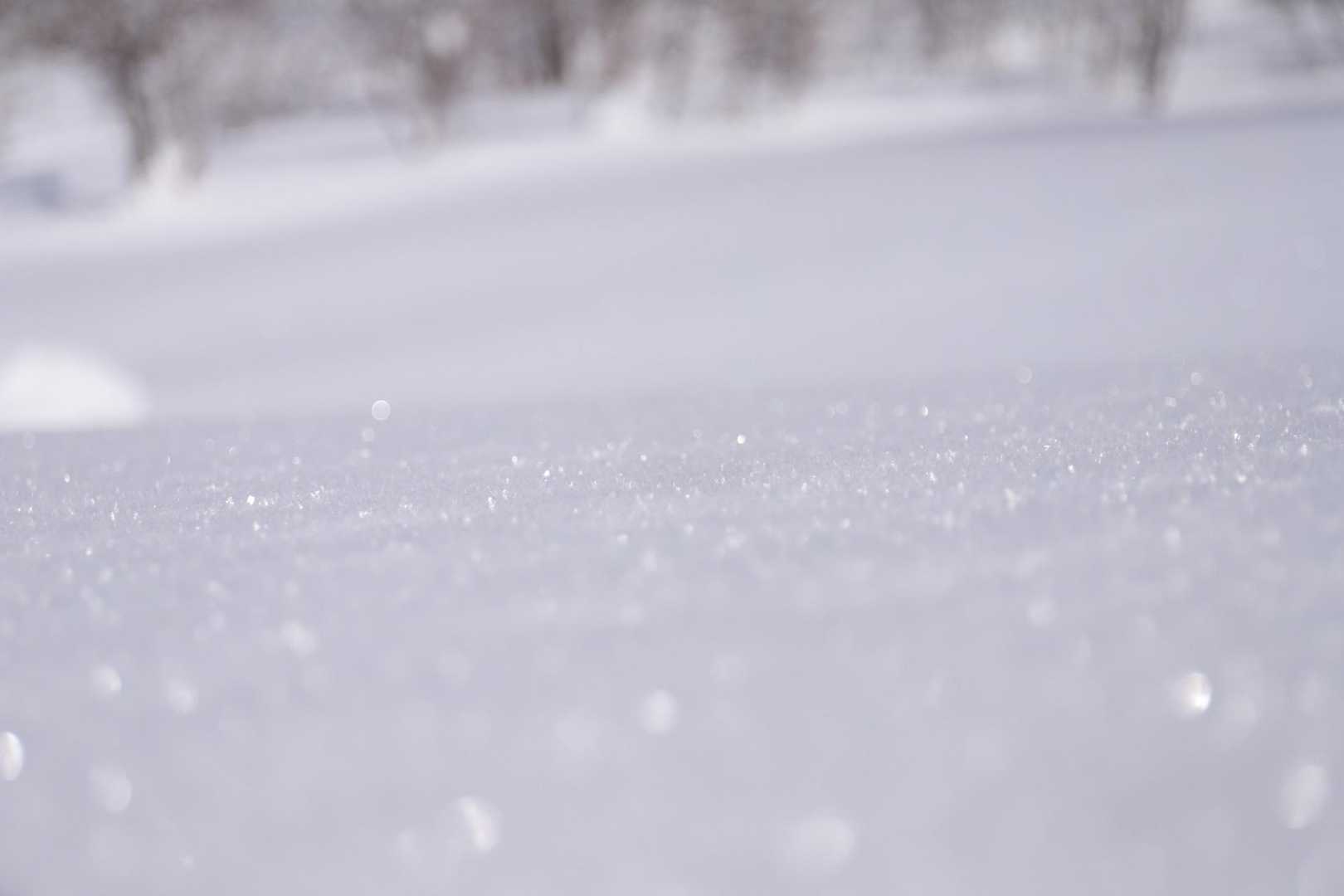 雪が冬の光を吸い込んでキラッキラ✨

今日もいくつかの出会いと楽しい時間に感謝です