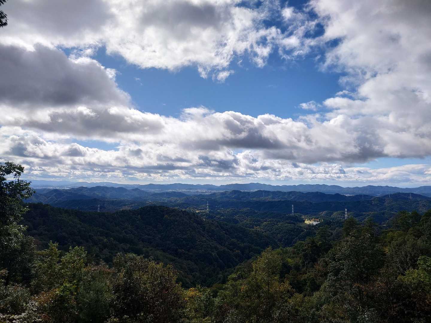 高沢山-大仏山-本城山 周回コースの写真