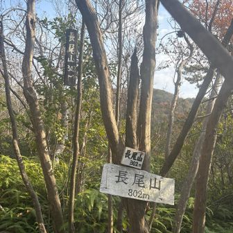 『長尾山』登頂💨