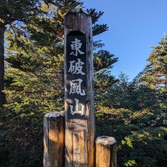 ここに来るまでの登りがかなり急登できつい…