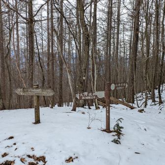 周囲は樹林帯で展望はありません