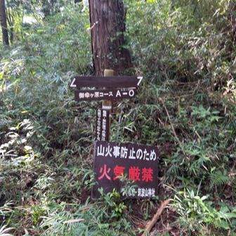 御幸ヶ原コースの登山口付近