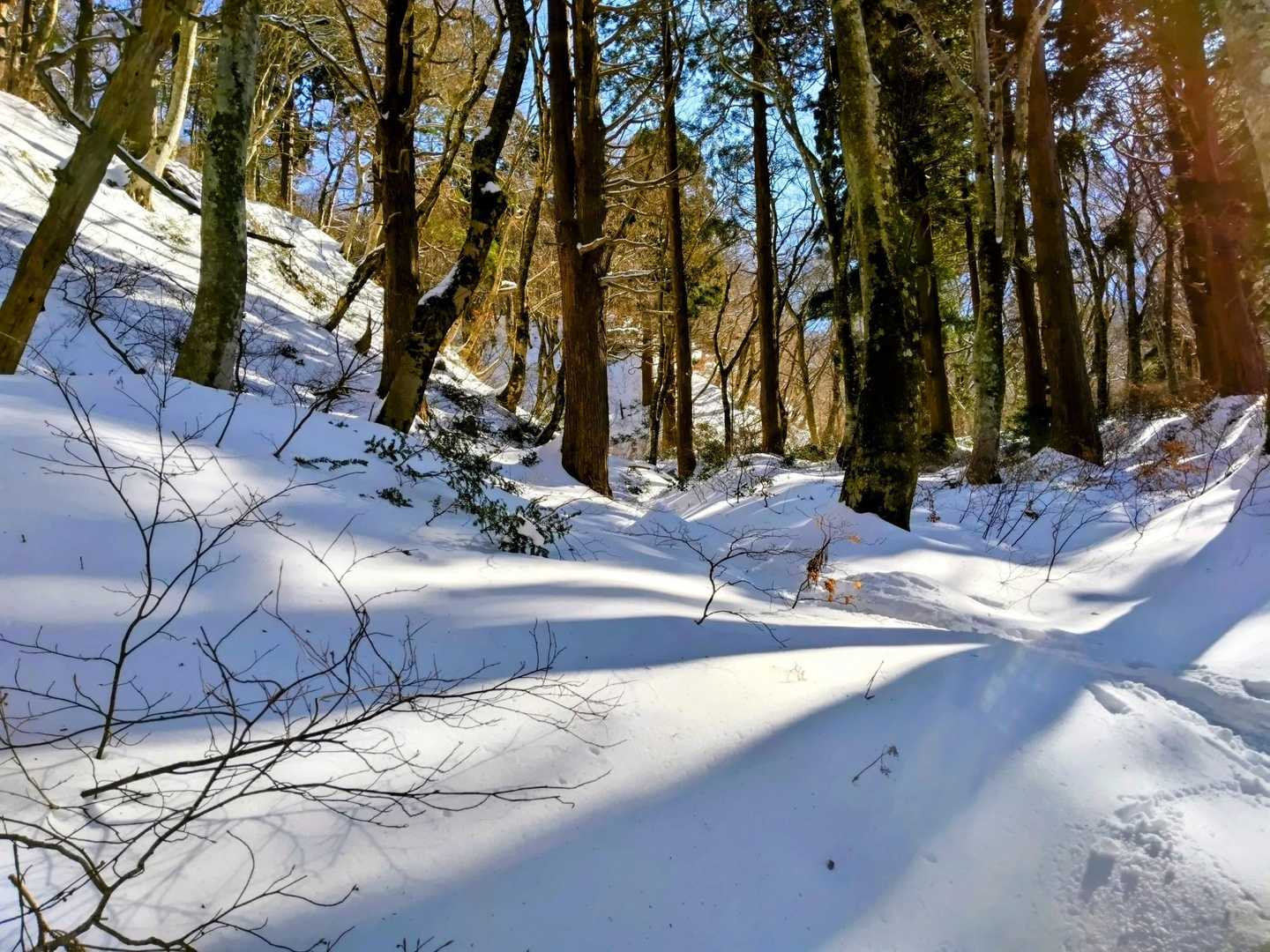 途中でユートピア登山道を行く‼️
