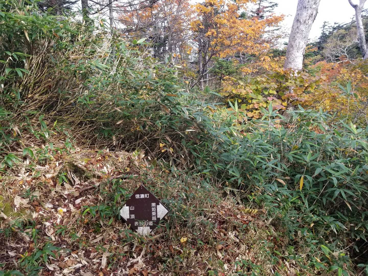 スキー場からの分岐。