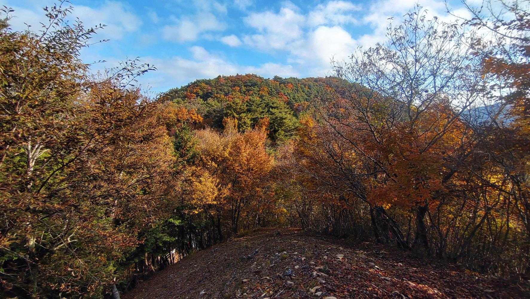 春日山
