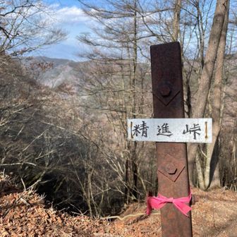 精進峠、今日はここから下山