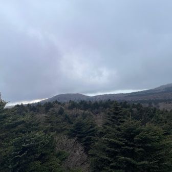 二子山方面
これで2025年の山行も終わりです
筋力、体力の低下を感じた1年でした
2026年は体力付けて頑張るぞー