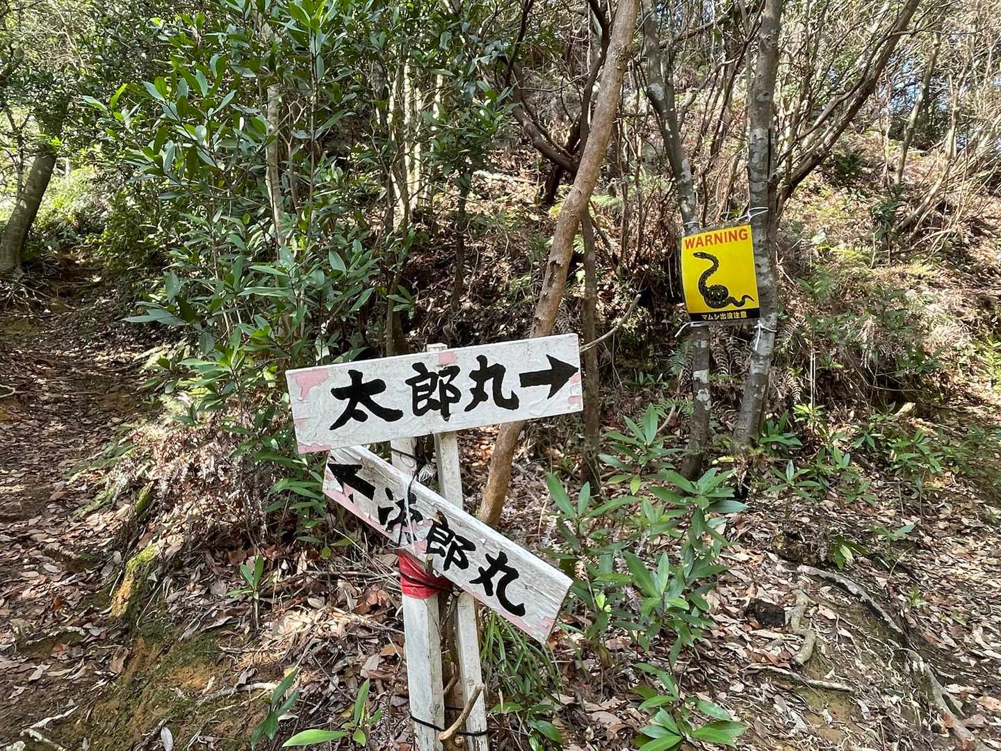 太郎丸・次郎丸嶽 | 山頂の絶景とライオン岩を楽しめる天草の兄弟岳コースの写真