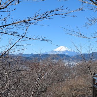 富士山ベンチなる所から