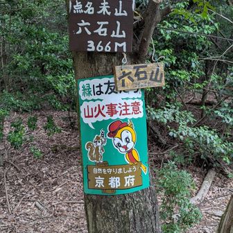 六石山（ろっこくやま）は、眺望無し