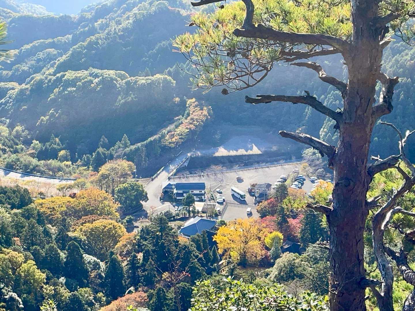 マイカーあるかな？