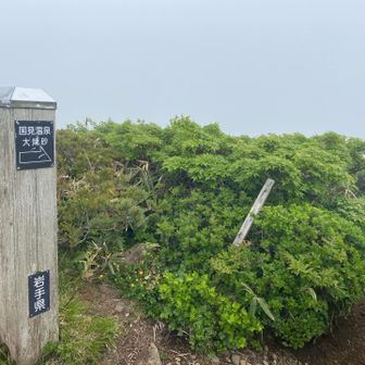 降って来たので帰ります😊