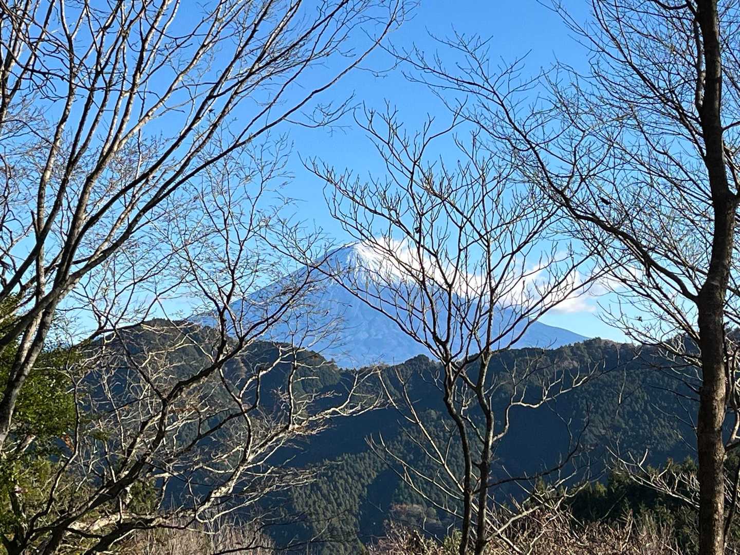 しばらく歩き振り返ると🗻