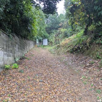 登山口の様子です。