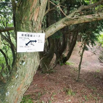 分岐から坂下峠を目指します