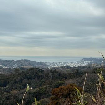 景色もこんな感じ〜
富士山とか相模湾の絶景らしい〜
