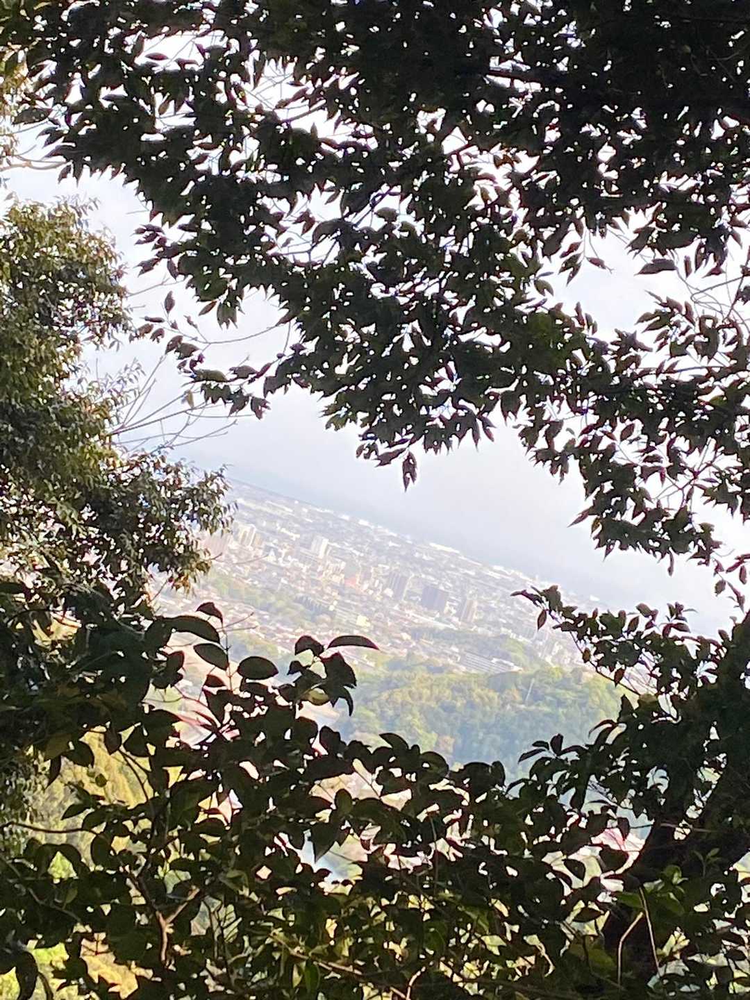京塚山 往復コースの写真