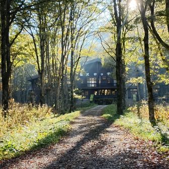 森の中の徳沢ロッヂ🐱
平坦な山道が長く続く🐾