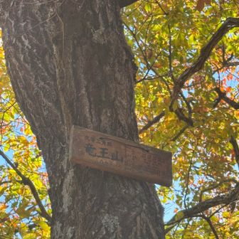 あっという間では無いが所々急登と迷い道ありで
頂上着きました。展望よし