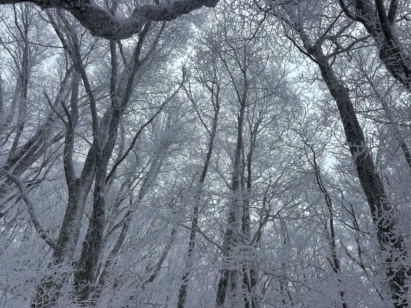 たまらん！
風がないのでのんびり景色を満喫できます