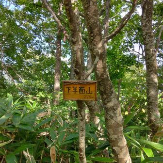 「下半面山」274m 到着✌
(高速道路　嵐山トンネルの真上に位置します)

近文山から下半面山までは平坦なだらかで　歩きやすいが
虫が凄いので　途中　写真🈚