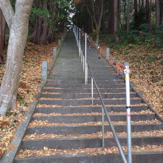 振り返ると降りてきた階段の長さにびっくり