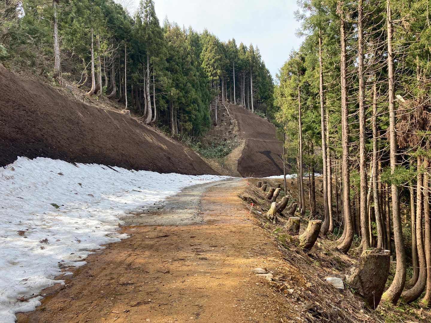 キレイな林道
整備されたばかりなのかな？
もう少し先を下りて無事到着です🙌
お疲れ山😉
