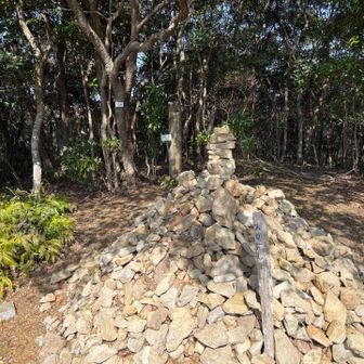 横山山頂:展望なし