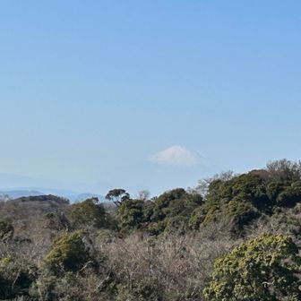 富士山も見えました