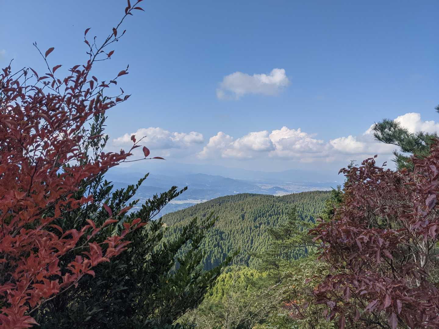 気持ちの良い展望と青空です🤩✌️
