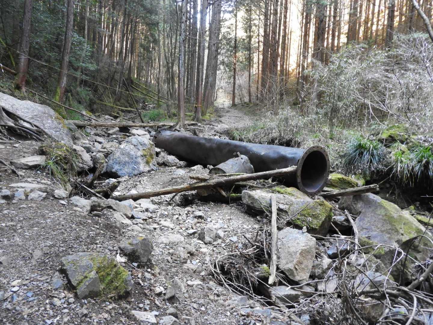 長倉山 周回コースの写真