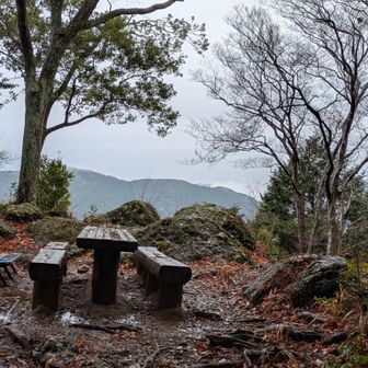 びく石山山頂に到着。ここから下り。全力で下ります