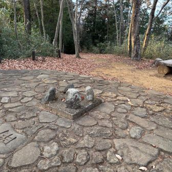 お伊勢山。
三角点がありました。