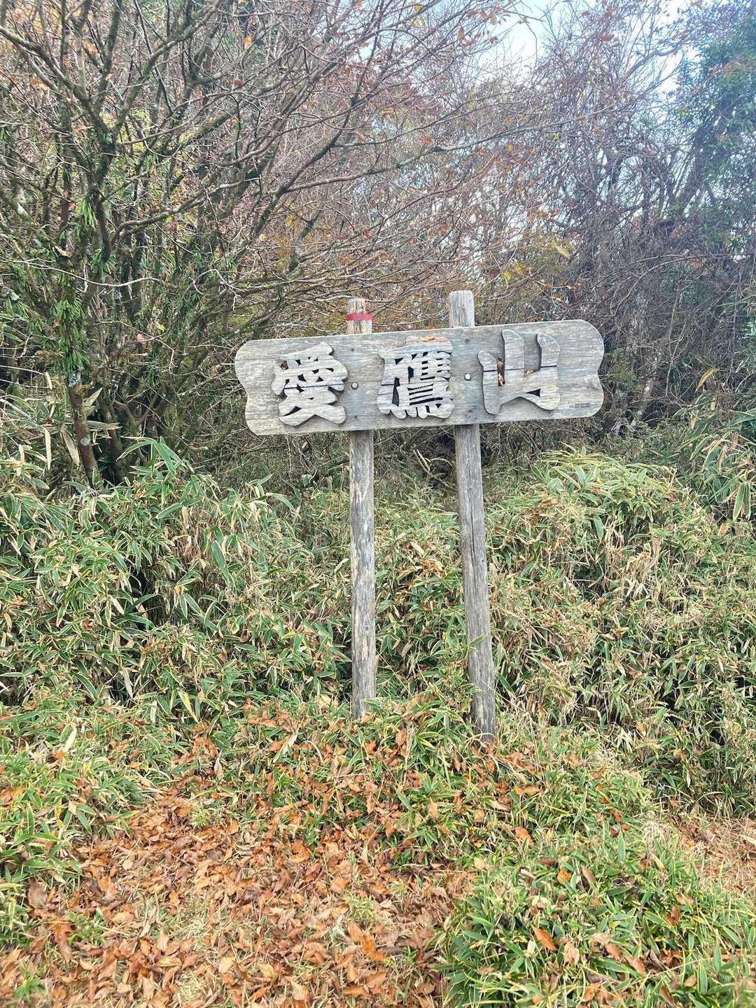 愛鷹山 往復コースの写真
